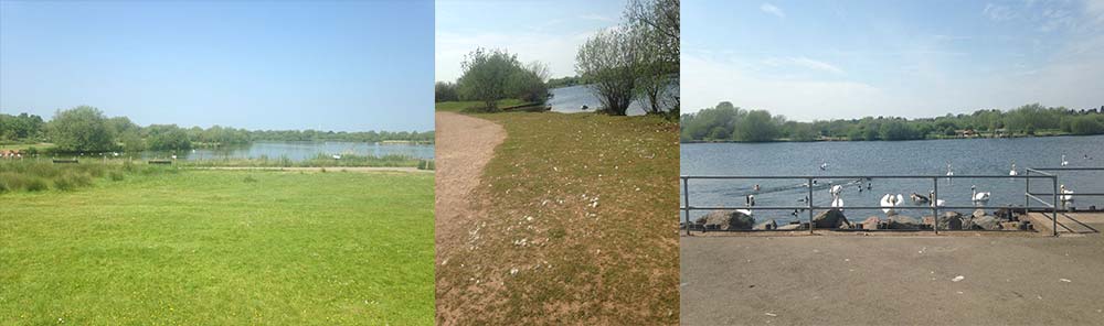 lunchtime walk around the lake